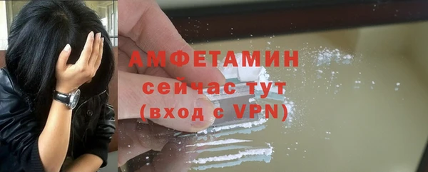 твердый Богданович