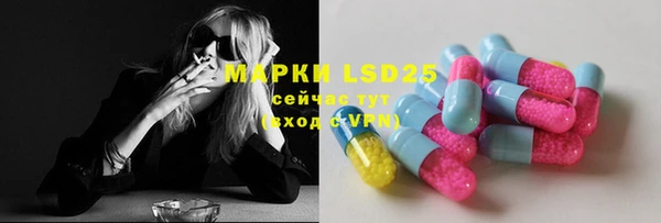 твердый Богданович