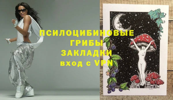 винт Струнино