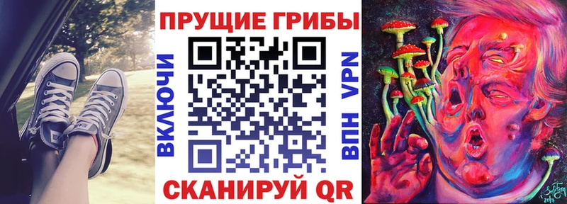 Галлюциногенные грибы GOLDEN TEACHER  Козловка 
